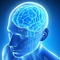 Комплекс МРТ исследований: шейный отдел + головной мозг + МР-ангиография